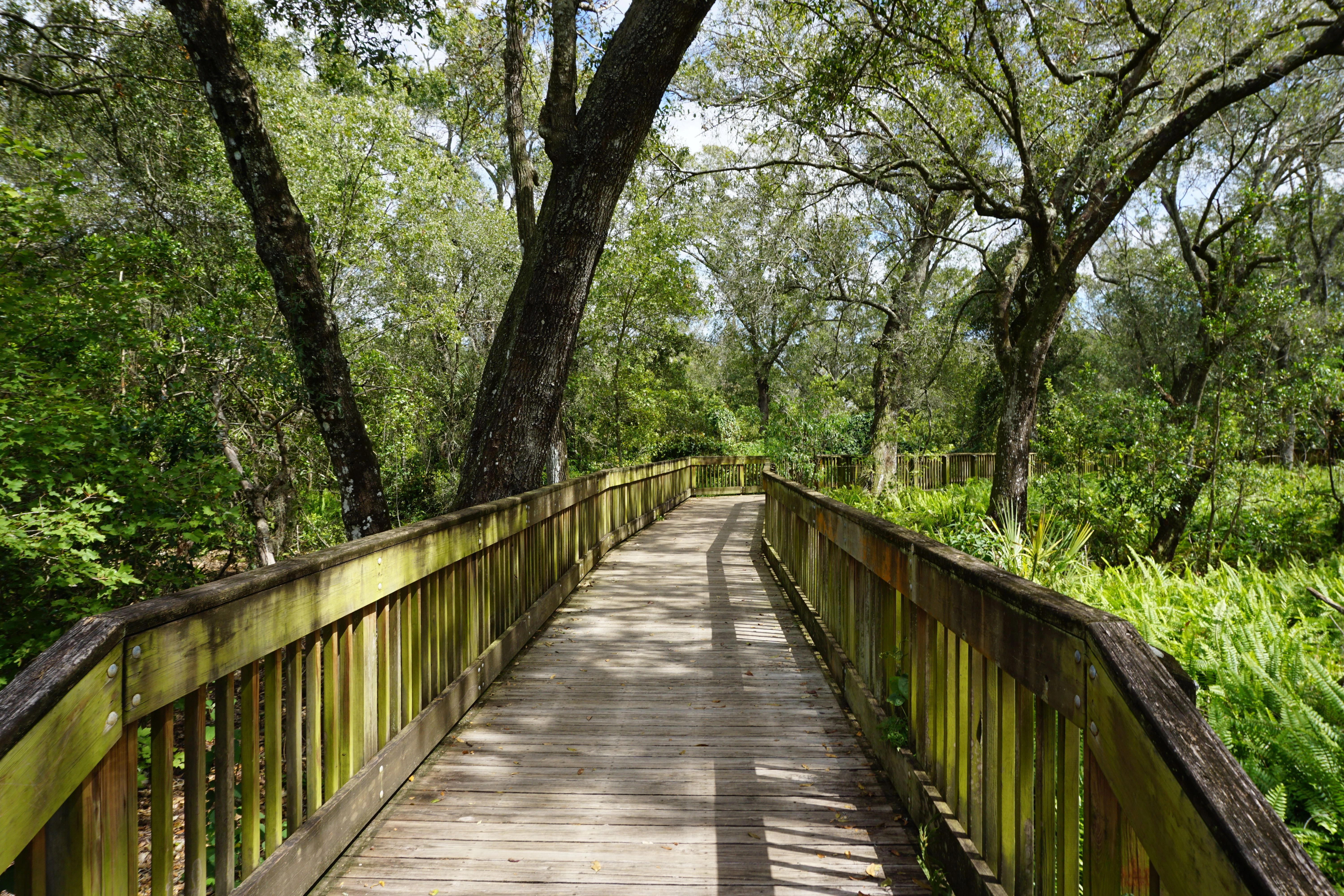 Exploring Cobblestone Trail & Local Fort Worth Parks